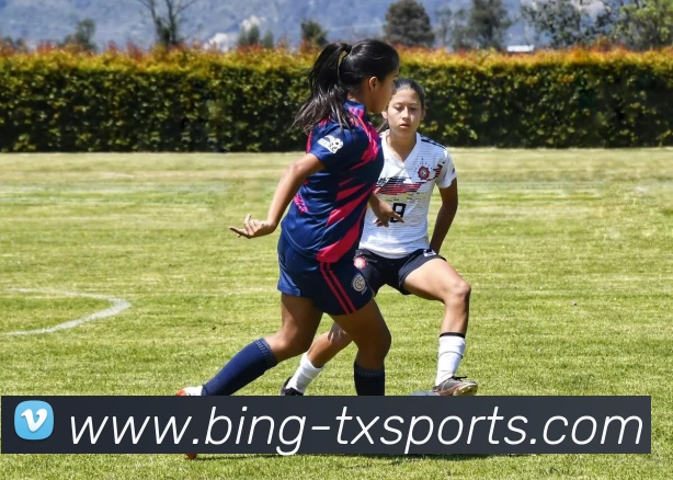 天行体育服务体系